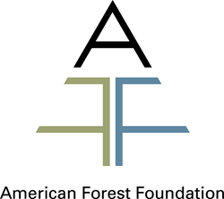 Forest Foundation logo
