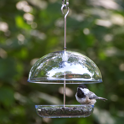 A Chickadee Enjoys Seed From Droll Yankees Cutest Chickadee Feeder
