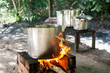 Ayahuasca boiling down the brew in the Amazon jungle