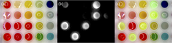 Simple illustration of augmented microscopy; Figure 6, doi:10.1117/1.JBO.20.10.106002 (© the authors)