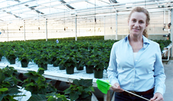 Dr. Melanie Yelton at work in a LumiGrow customer's greenhouse.