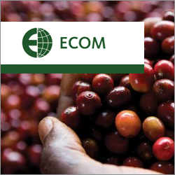 ECOM upgrades to a single, fully integrated ERP with help from TEC's software selection services team.