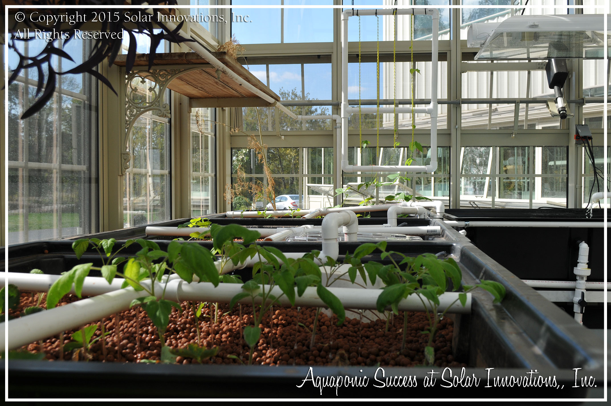 System trading corporation greenhouse