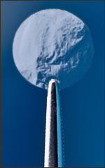 BioDOptix® Graft