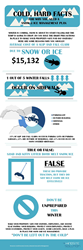 snow removal infographic