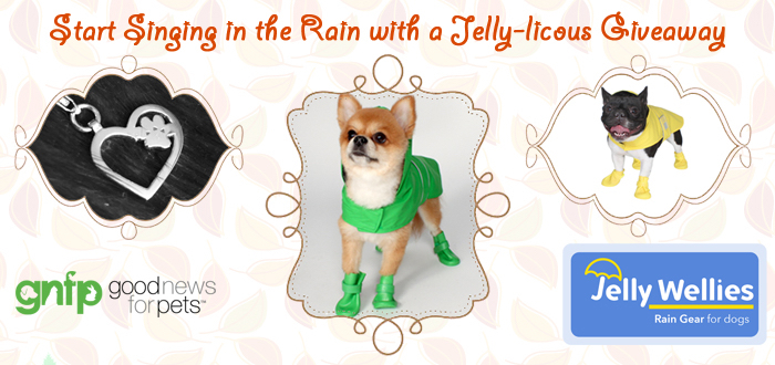 Jelly Wellies Dog Raincoat Size Chart