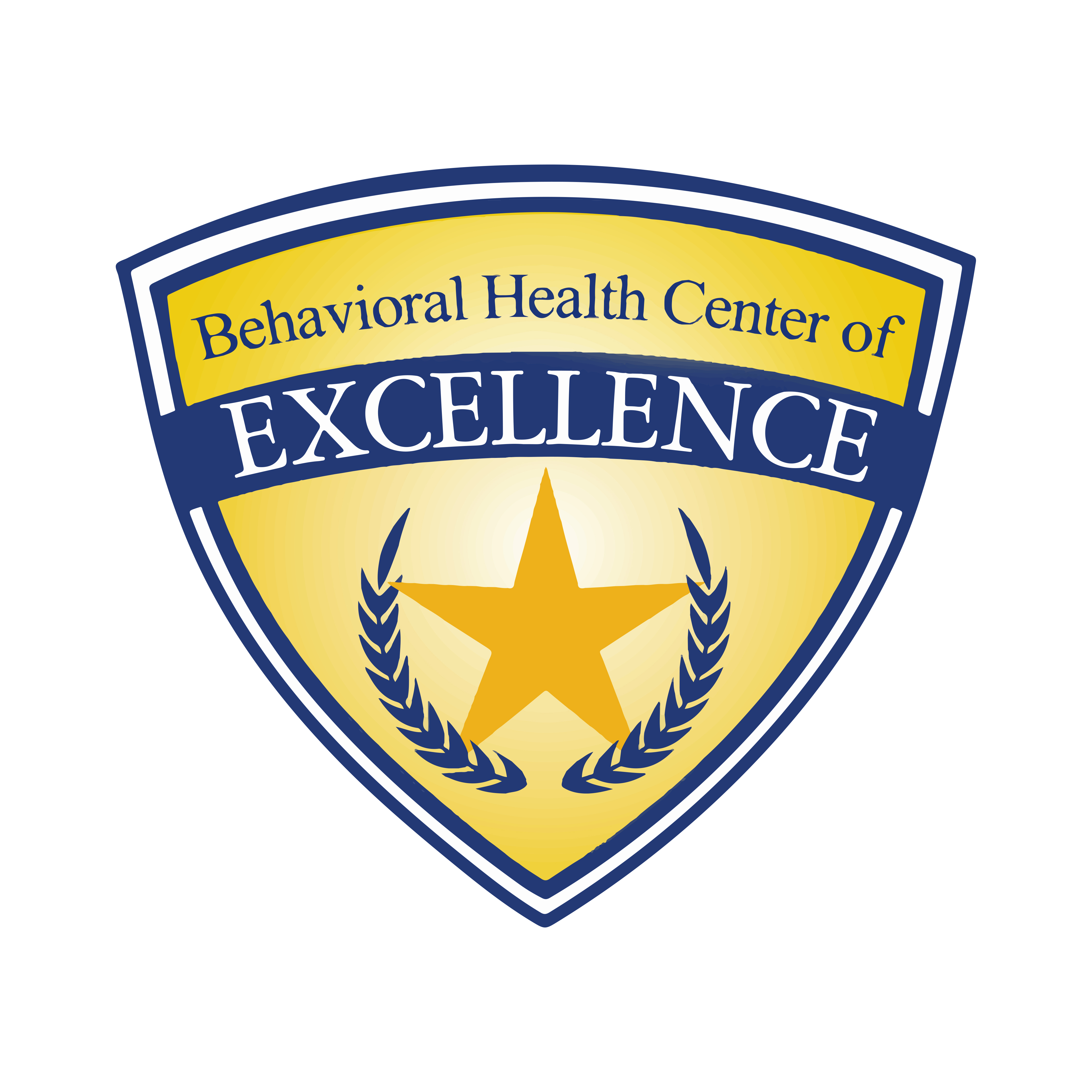 In S T E P P S Earns Behavior Health Center Excellence Distinction