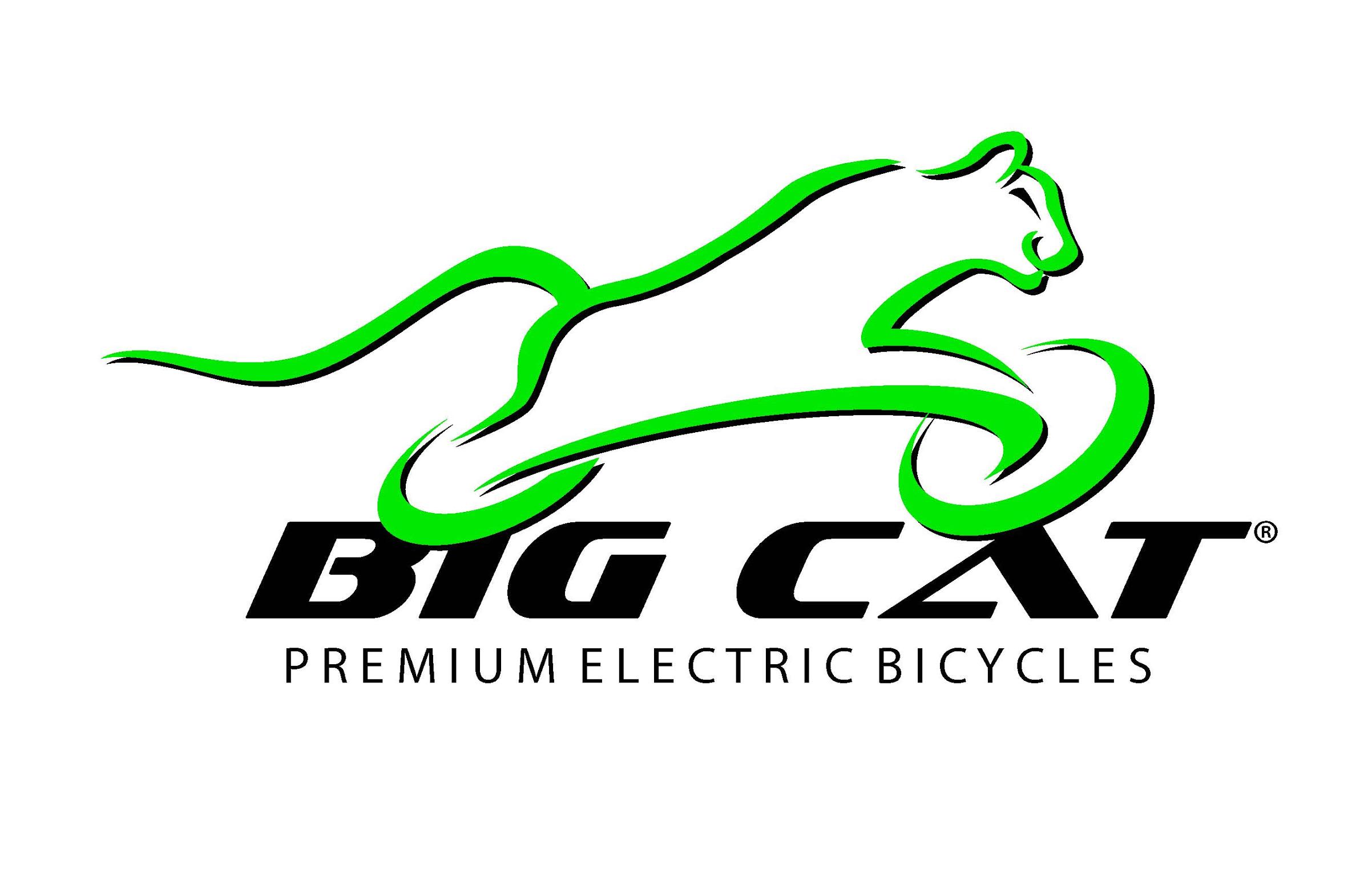 big cat e bike