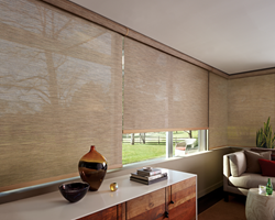 Hunter Douglas Designer Screen Shades from Decorview