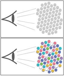 Ethnocentrism results when members of a group view members of another group as interchangeable (top). In contrast, higher mobility results in reduced ethnocentric behavior (bottom). Credit: Dana Nau
