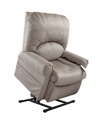 Mega Motion Power Lift Recliner