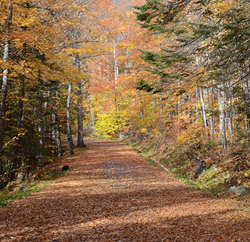 Just as help from an outfitter with local knowledge of an area can mean the difference between a safe, happy trip and a serious misadventure, Wise Business Plans can be your guide to securing proper financing for your business goals