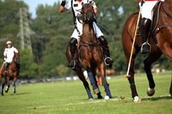 Polo in La Quinta