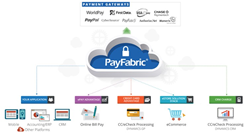 PayFabric Diagram