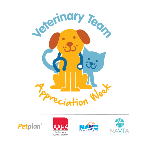 National Veterinary Groups Join Petplan to Launch Veterinary Team