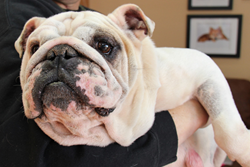 Regina, winner of the 1-800-PetMeds Change a Pet's Life Contest