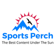 Sports Perch Launch Gives Fans Refreshing View of Online Sports Landscape