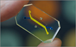 One Million Solutions in Health’s Technology Evaluation Consortium™ Evaluated the Wyss Institute Organ-on-a-Chip as INNOVATOR in its Signature Square™ Program