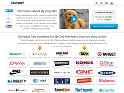 An example of a customized page from Givebuy for crowdfunding projects.