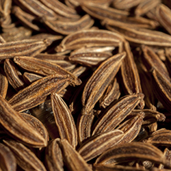 We all depend on agriculture in one way or another, and by being a local source for gardeners to buy their seed and produce some of their own foods, these seed companies are having a positive effect on their communities.