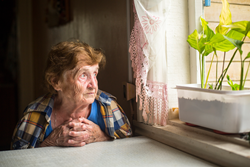Senior Loneliness in America