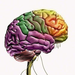 Mastering Rehab Solutions for the Complexities of Concussions