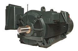 Petrochem SD+ Medium Voltage Motor