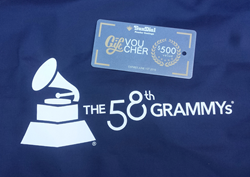 Sundial Powder Coatings at the Grammys