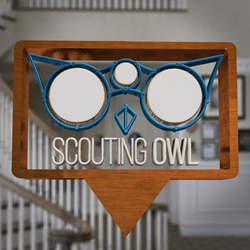 Scouting Owl logo 3D