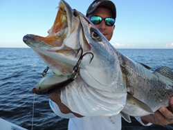Capt. Kerry Audibert, Ought To Be Fishing Charters
