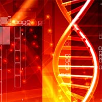 Gene Study May Lead to New Mesothelioma Treatments
