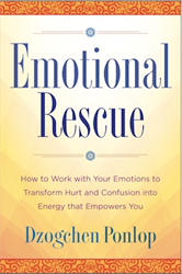 Emotional Rescue by Dzogchen Ponlop Rinpoche - front cover