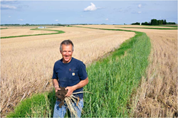 Steve Berger, Soil Health Partnership farmer in Wellman, Iowa.