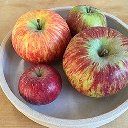 Apple growers celebrate 2016 National Johnny Appleseed Day with support from Wise Business Plans