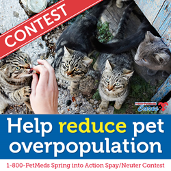 1-800-PetMeds Spring into Action Spay/Neuter Contest