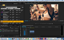 Adobe Premiere Pro Plugin in Evolphin Zoom VideoFX