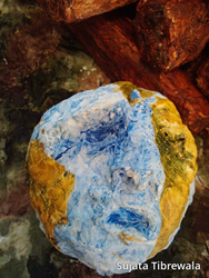 Who speaks for earth