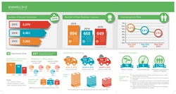 Roswell Inc 2015 Business Report Card