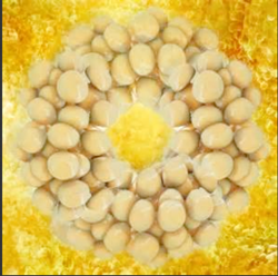 stem cells, regenerative medicine, molecular biology, cosrt, fat transfer, cosmetic surge