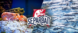 Separbait is a revolutionary fishing invention that makes fishing a more efficient activity for anglers everywhere.
