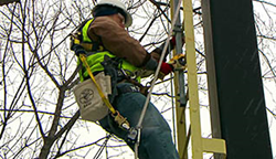 construction fall protection