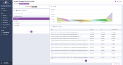 AuvikFlow NetFlow report Kentik network traffic analytics