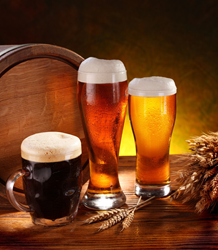 Taste of Brews