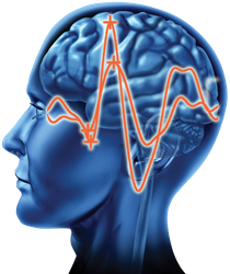 VEP and the Brain