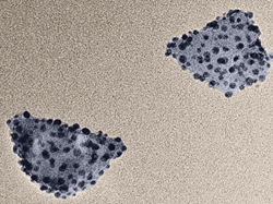 These two hybrid nanoparticles each consist of a nanodiamond (roughly 50 nanometers wide) covered in smaller silver nanoparticles that enhance the diamond’s optical properties. Credit: Min Ouyang