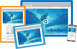 Cedato's Native Video Showcase