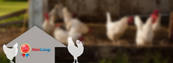 The Hen Coop is a farm invention which will provide poultry farms with a perfect solution for providing security and safety to their livestock.