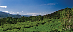 summit county real estate