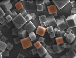 Poyhedrin crystals viewed with a scanning electron microscope