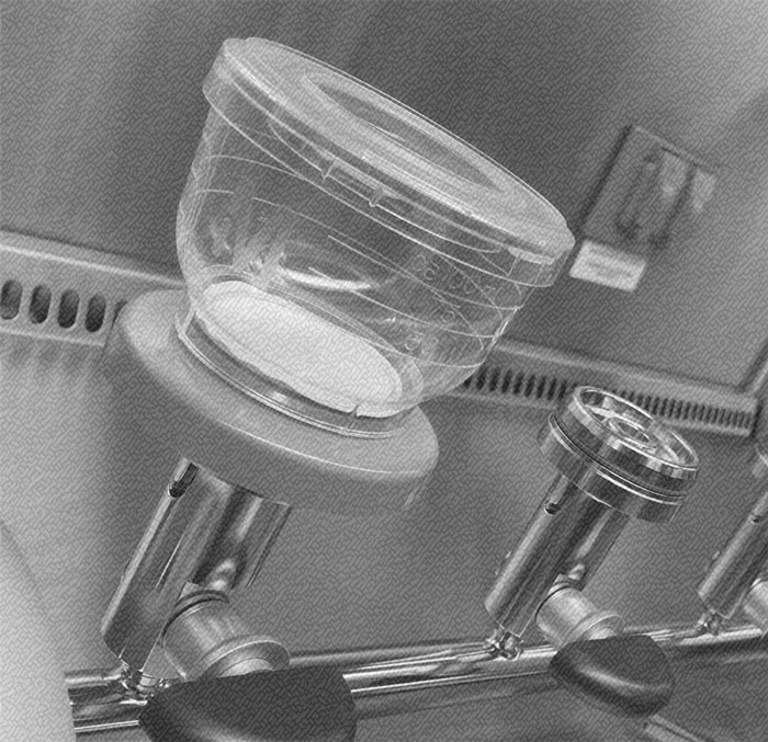 Whitehouse Laboratories Successfully Launches Environmental Monitoring